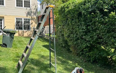 Photo of Rosa l.'s yard after getting landscaping in Amissville, VA