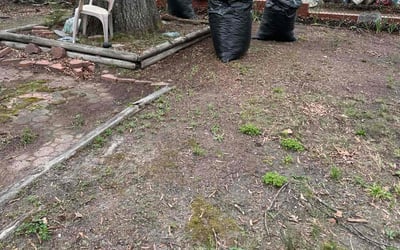 Photo of Robert H.'s yard after getting landscaping in Montpelier, VA