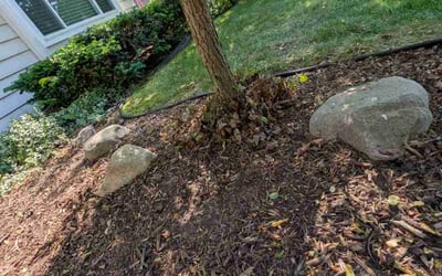 Photo of Kevin W.'s yard after getting landscaping in Lake Orion, MI
