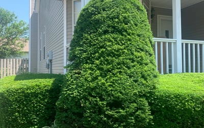 Photo of Walter M.'s yard after getting landscaping in Versailles, KY