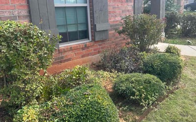 Photo of Nick S.'s yard after getting landscaping in Jones, OK