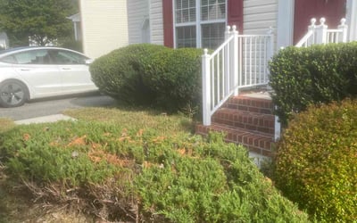 Photo of Montiqua S.'s yard after getting tree care in Hopewell, VA