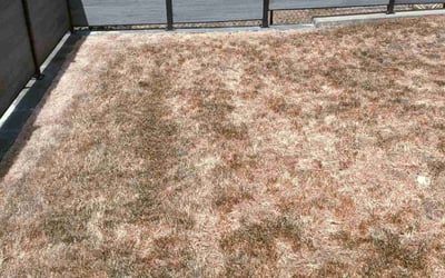 Photo of Stephanie H.'s yard after getting landscaping in Suffern, NY