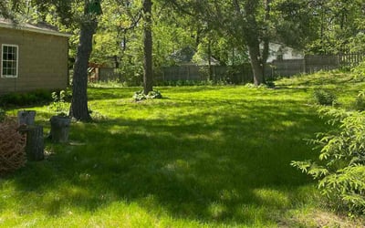 Photo of Joy M.'s yard after getting tree care in Princeton, MN