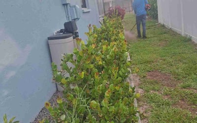 Photo of Linda F.'s yard after getting landscaping in Bradenton Beach, FL