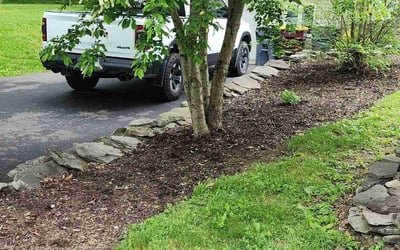 Photo of Paul J.'s yard after getting tree care in Newburgh, NY