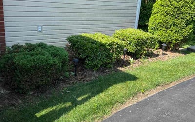 Photo of Jose A.'s yard after getting landscaping in Columbia, MD