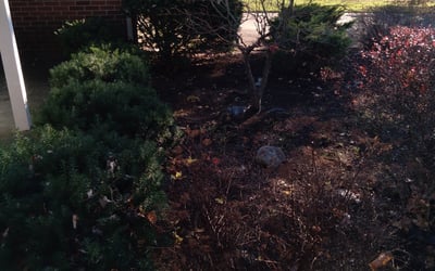 Photo of Greg F.'s yard after getting landscaping in Wauseon, OH