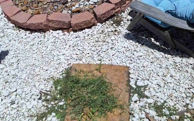 Photo of Nicole J.'s yard after getting landscaping in Pandora, TX