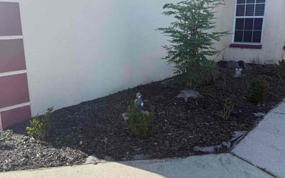 Photo of Jennifer A.'s yard after getting landscaping in Lakeshore, FL