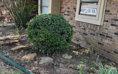 Photo of George S.'s yard after getting landscaping in Flower Mound, TX