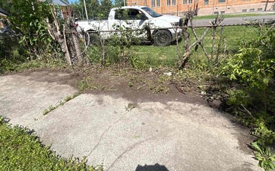 Photo of Erika B.'s yard after getting landscaping in Detroit, MI