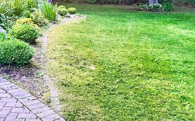 Photo of Kenneth L.'s yard after getting landscaping in Newton, NJ