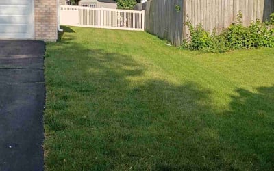 Photo of Deborah M.'s yard after getting landscaping in Bolingbrook, IL