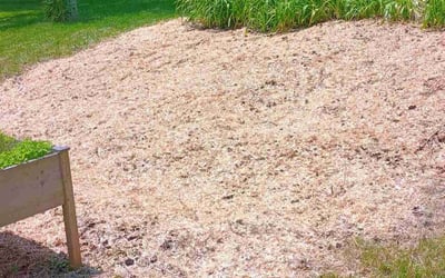 Photo of Mark E.'s yard after getting landscaping in Downingtown, PA