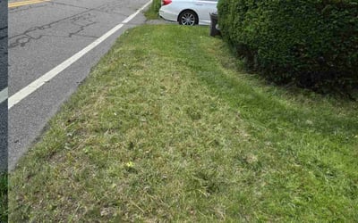 Photo of Stephanie R.'s yard after getting landscaping in White Plains, NY