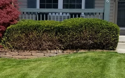 Photo of Kat P.'s yard after getting landscaping in Rockbridge, OH