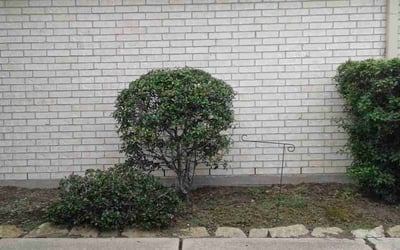 Photo of Amanda J.'s yard after getting landscaping in Alief, TX
