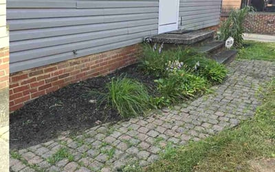 Photo of Marquita F.'s yard after getting landscaping in Euclid, OH