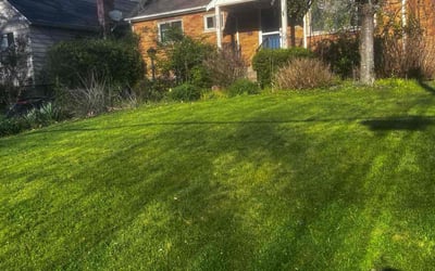 Photo of Susan M.'s yard after getting landscaping in Crittenden, KY