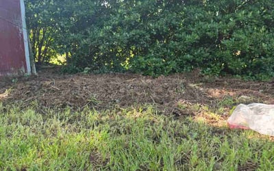 Photo of Dave B.'s yard after getting landscaping in Virginia Beach, VA