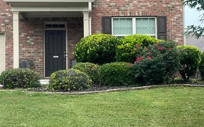 Photo of Amanda A.'s yard after getting landscaping in Buckhead, GA