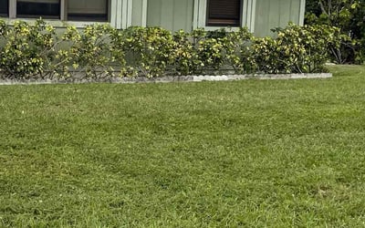 Photo of Mark F.'s yard after getting tree care in Homestead, FL