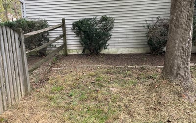 Photo of Greg S.'s yard after getting landscaping in Curtis Bay, MD