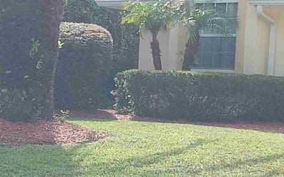 Photo of Judith P.'s yard after getting landscaping in Lake Monroe, FL