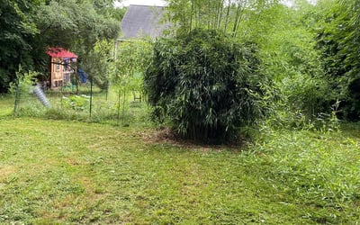Photo of Micah R.'s yard after getting landscaping in Cheshire, CT