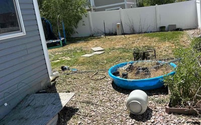 Photo of Philip H.'s yard after getting landscaping in Conifer, CO