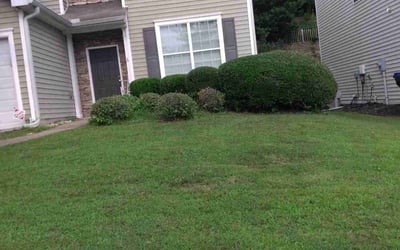 Photo of Fred M.'s yard after getting landscaping in Good Hope, GA