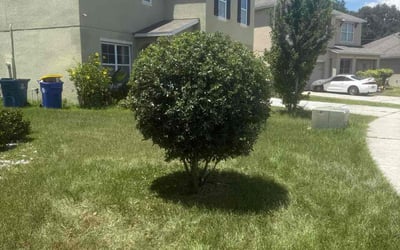 Photo of Josh A.'s yard after getting landscaping in Winter Haven, FL
