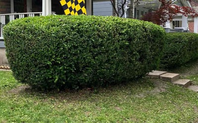 Photo of Matthew B.'s yard after getting landscaping in Ostrander, OH