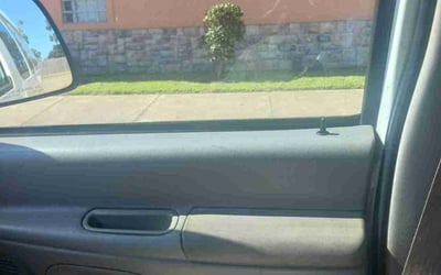 Photo of Steve k.'s yard after getting tree care in Denham Springs, LA