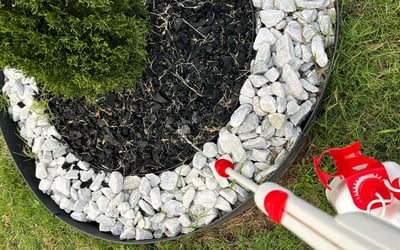 Photo of Lisa H.'s yard after getting landscaping in Stockbridge, GA