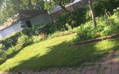 Photo of Laura S.'s yard after getting landscaping in Hamel, MN