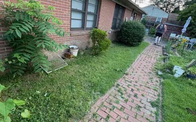 Photo of Stephanie H.'s yard after getting landscaping in Lexington, NC