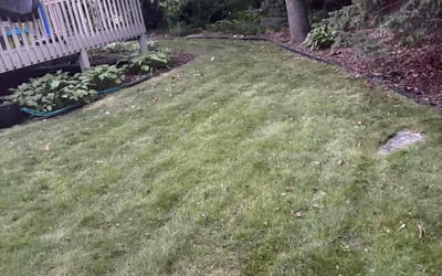 Photo of Anthony G.'s yard after getting landscaping in Lakeville, MN