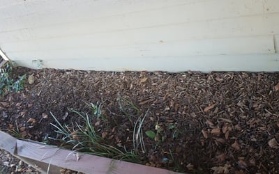 Photo of Mary G.'s yard after getting landscaping in Jasper, AL