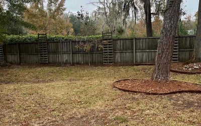 Photo of Abdulla A.'s yard after getting landscaping in Alachua, FL
