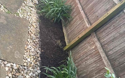 Photo of Nancy S.'s yard after getting landscaping in Easton, PA