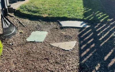Photo of Sean B.'s yard after getting tree care in Hood River, OR
