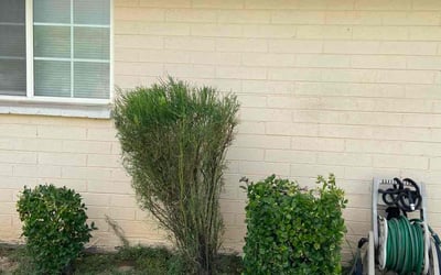 Photo of Christopher A.'s yard after getting landscaping in Apache Junction, AZ