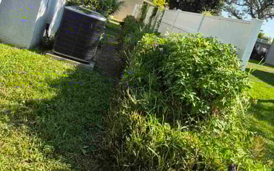 Photo of Derick K.'s yard after getting tree care in Brandon, FL