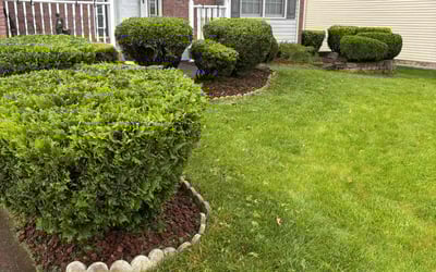 Photo of Darius D.'s yard after getting lawn care in Mentor, OH