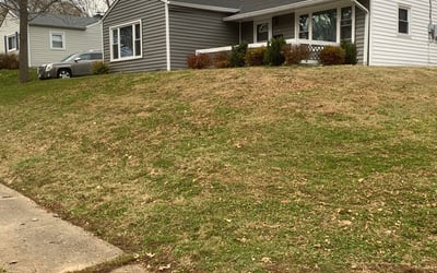 Photo of Michelle S.'s yard after getting landscaping in Melbourne, KY