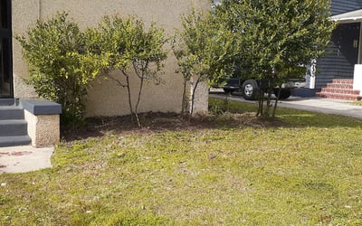 Photo of Crystal M.'s yard after getting landscaping in Penney Farms, FL