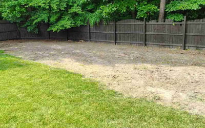 Photo of Nichole T.'s yard after getting landscaping in Richmond, VA