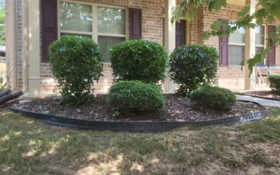 Photo of Allen J.'s yard after getting tree care in Dacula, GA